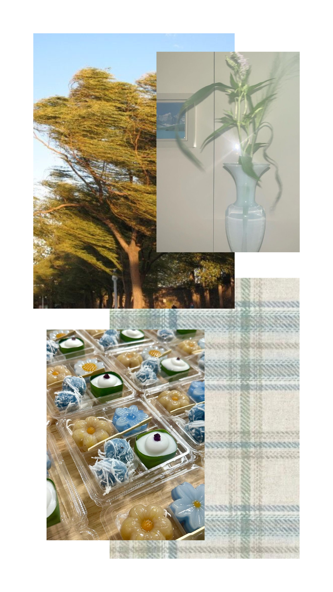 a blue autumn - moodboard set